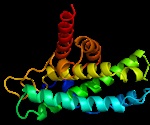 Predicting Disease-Causing Protein Interactions with PIONEER