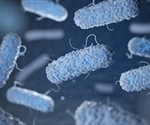 Unraveling the Evolutionary Link to Eukaryotic Cells