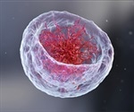 Study Identifies Novel Chromatin Configuration in Turtle Genomes