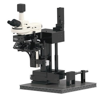State-of-the-Art Multiphoton Microscopy with Ultima Investigator Plus